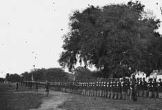 29th Regiment from Connecticut at Beaufort, S.C., 1864