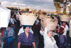 P10764 Ciociaro Club Photo - Feste De Pane and Corn Harvest September 1999