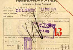 P11102A